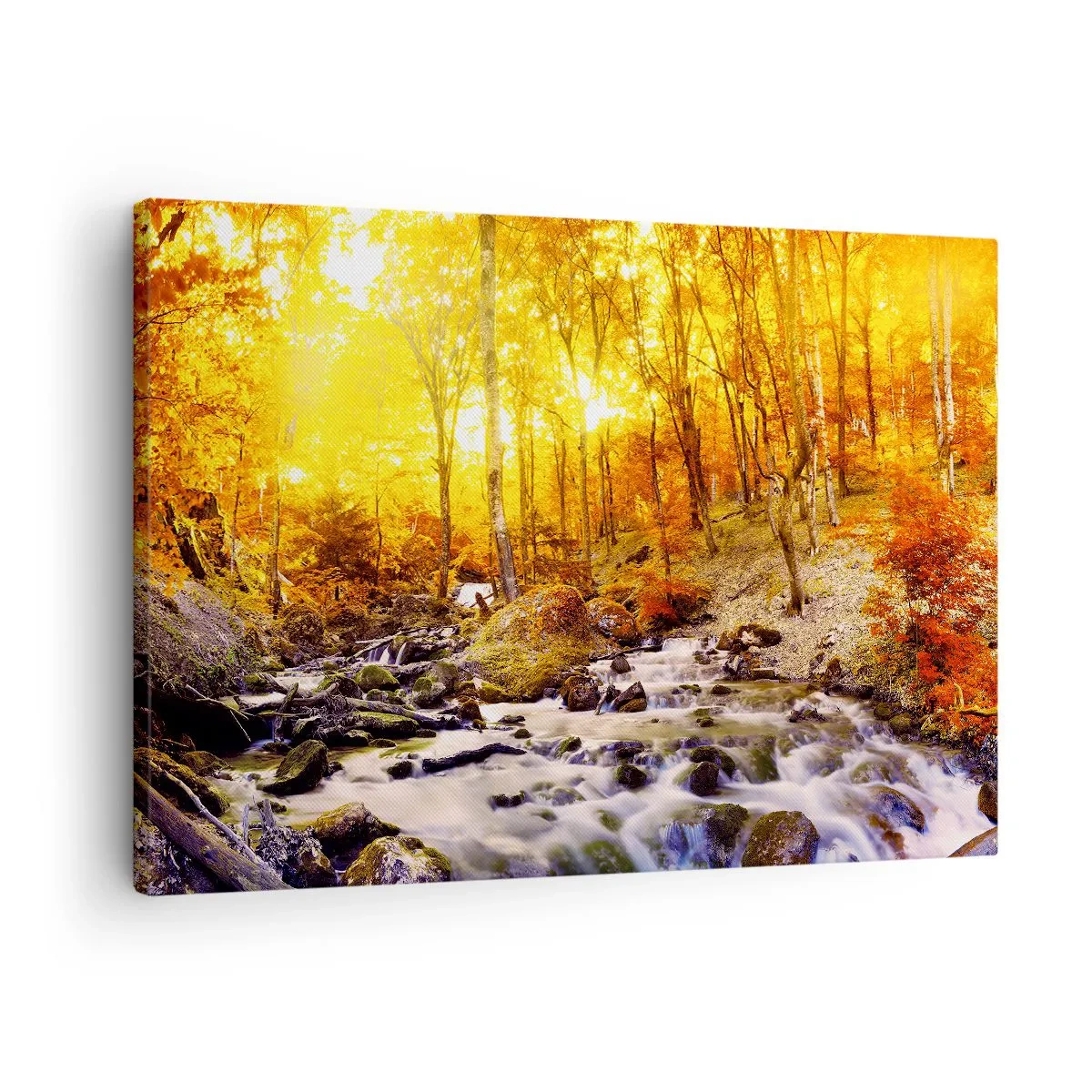 Obraz na plátně - Kameny zasazené do zlata a platiny - 70x50 cm