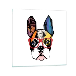 Obraz na skle - Intelektuál - 50x50 cm