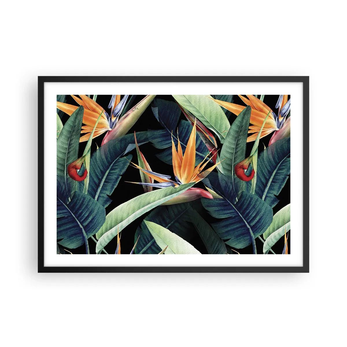 Plakát v černém rámu - Plamenné květy tropů - 70x50 cm