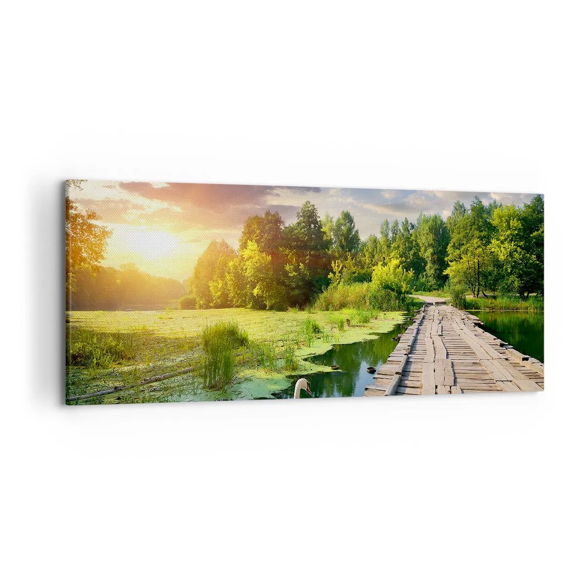 Obraz na plátně - Léto, léto všude - 120x50 cm