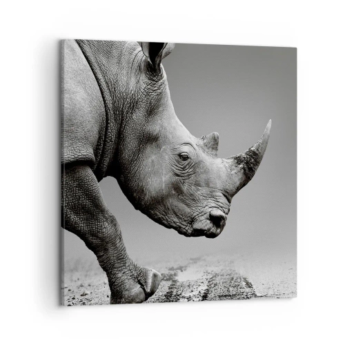 Obraz na plátně - Nezastavitelná síla - 50x50 cm