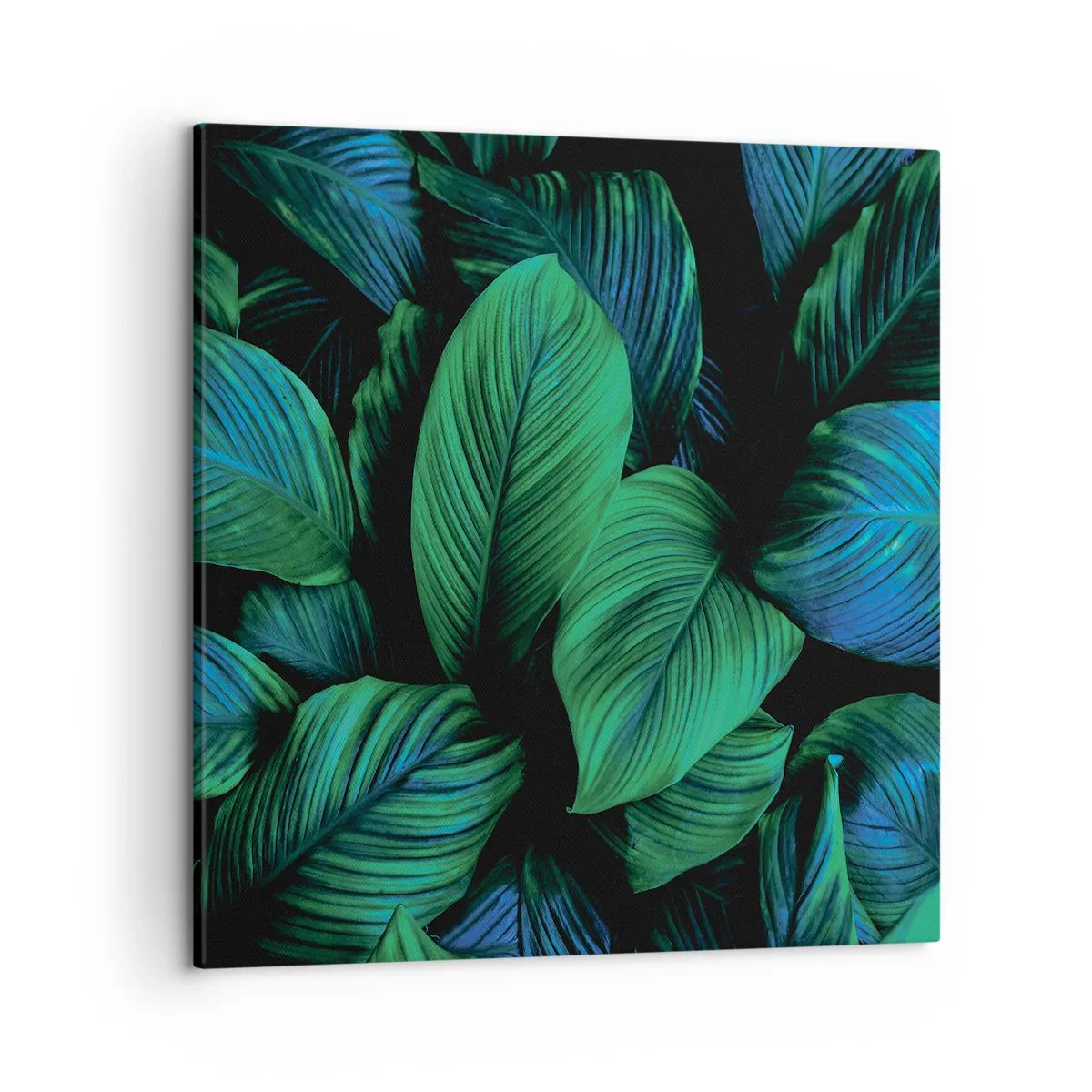 Obraz na plátně - V zeleném davu - 50x50 cm