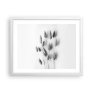 Plakát v bílém rámu - Její načechranost tráva - 50x40 cm