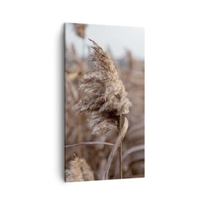 Obraz na plátně - Čas odletět s větrem - 45x80 cm