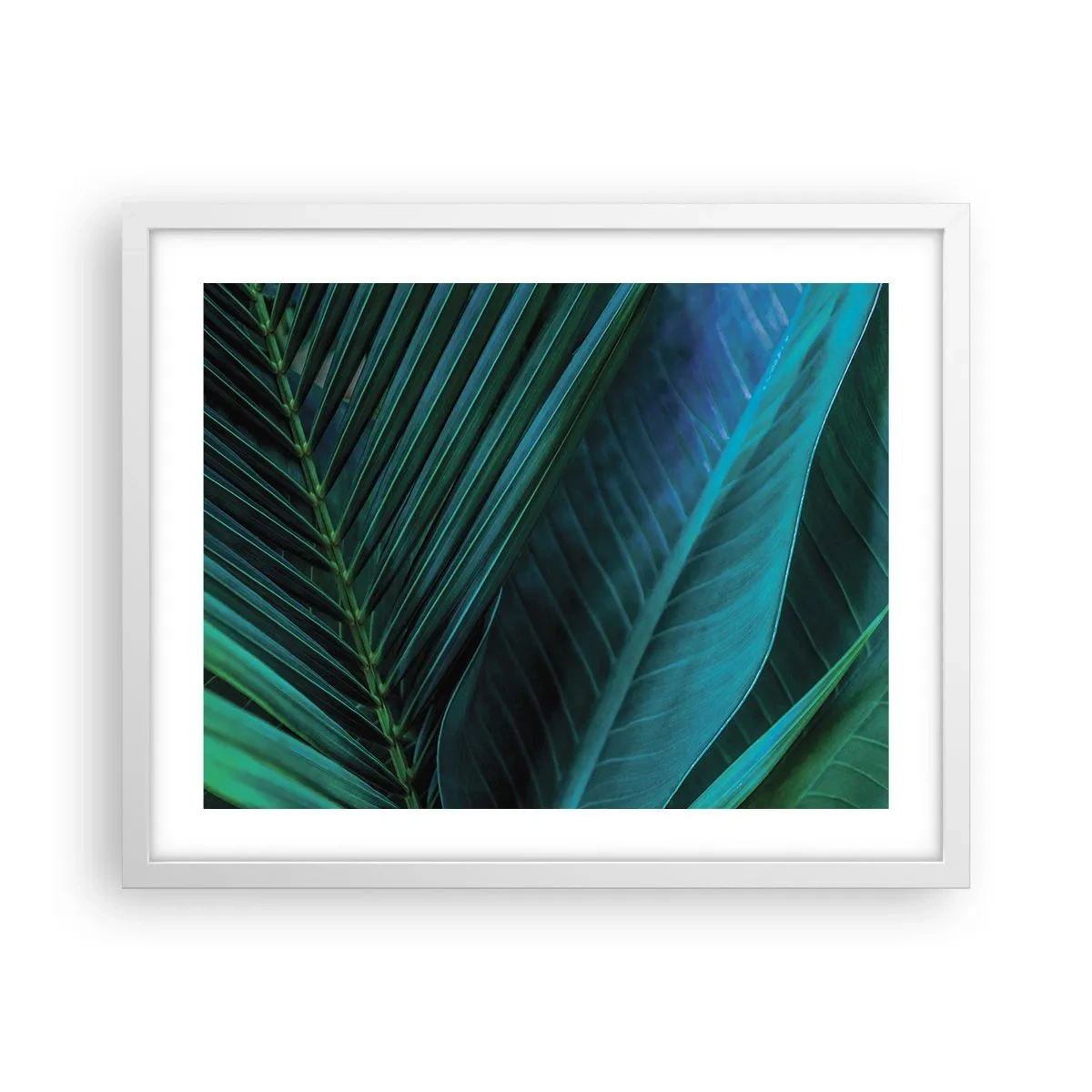 Plakát v bílém rámu - Anatomie zelené - 50x40 cm