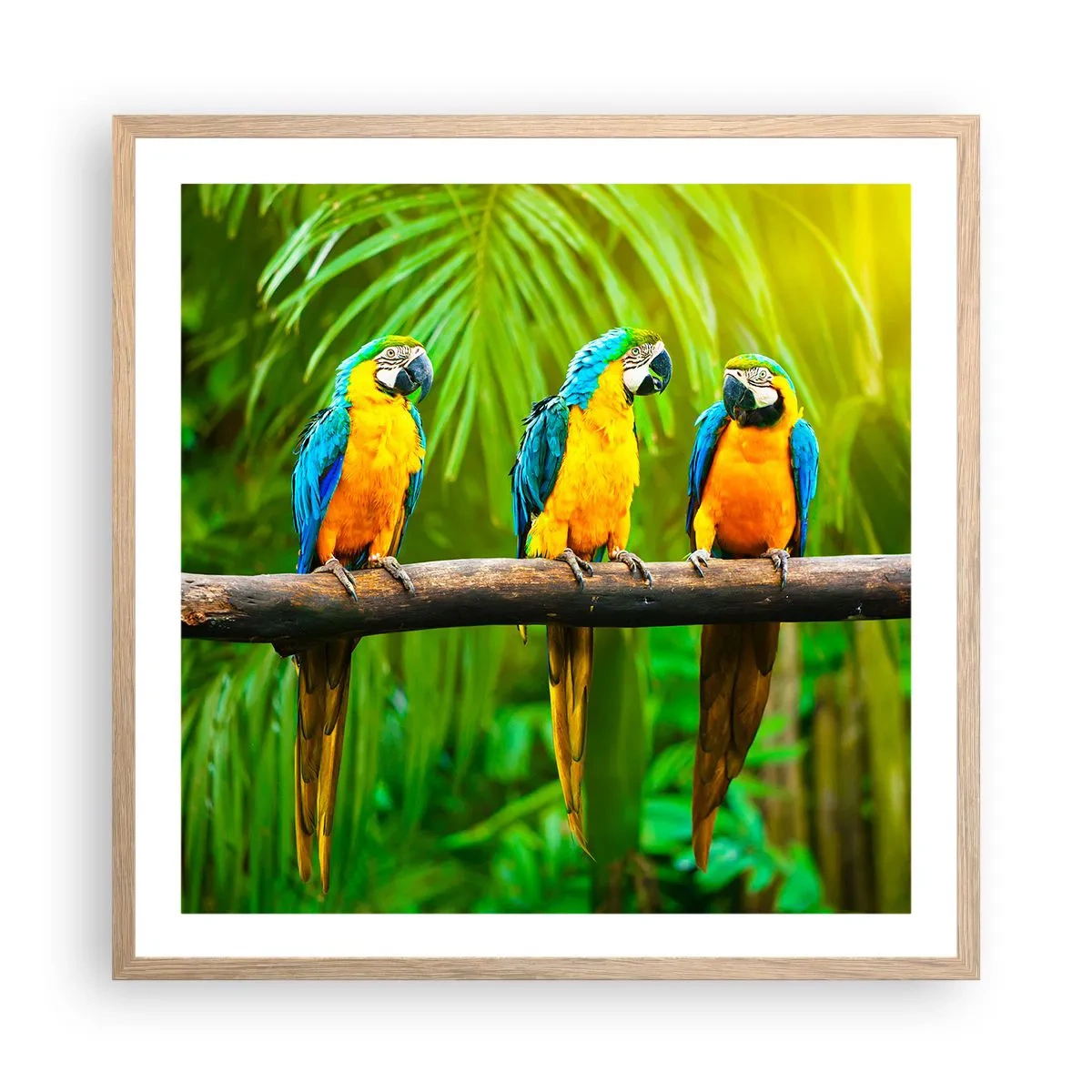 Plakát v rámu světlý dub - Slyšela jsi, že ona…? - 60x60 cm