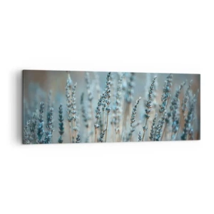 Obraz na plátně - Voňavý lán - 140x50 cm