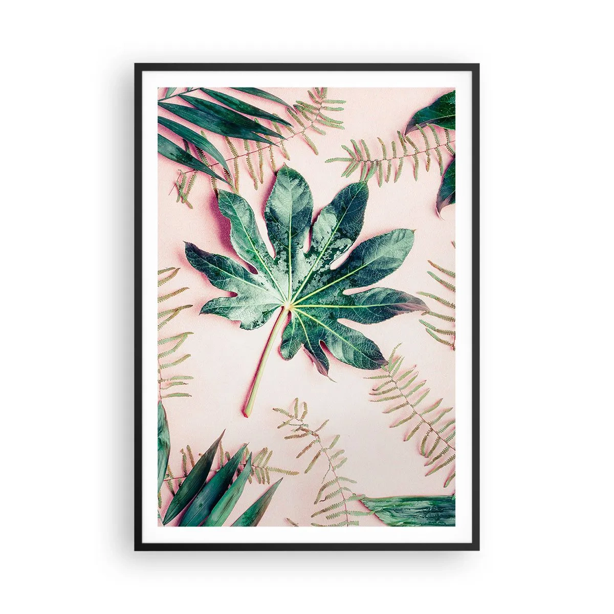 Plakát v černém rámu - Studie zelené na růžovém pozadí - 70x100 cm