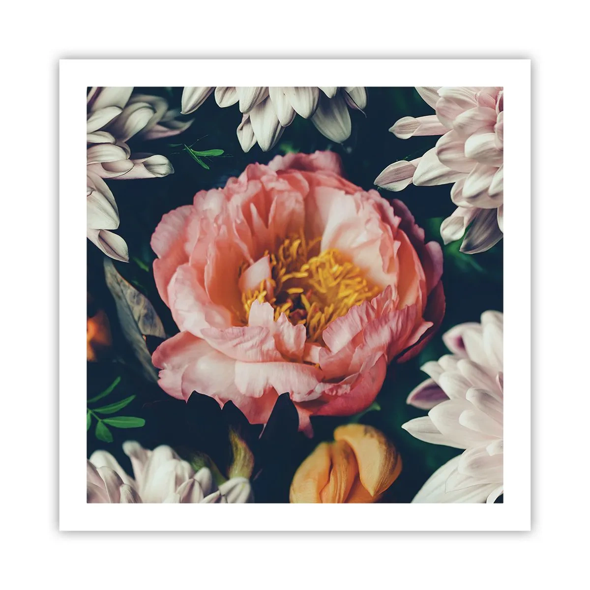 Plakát - S barokním přepychem - 60x60 cm