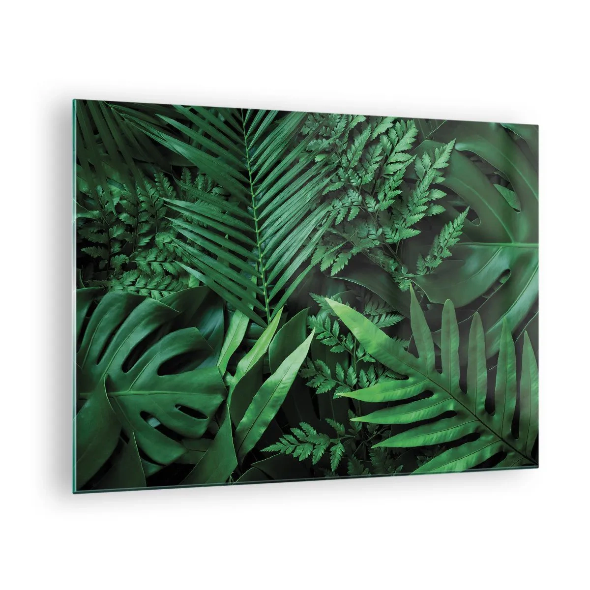Obraz na skle - Husté zelené listy tropických rostlin ve složení - 70x50cm - Objaté v zeleni - Moderní nástěnná dekorace do obývacího pokoje a ložnice ARTTOR