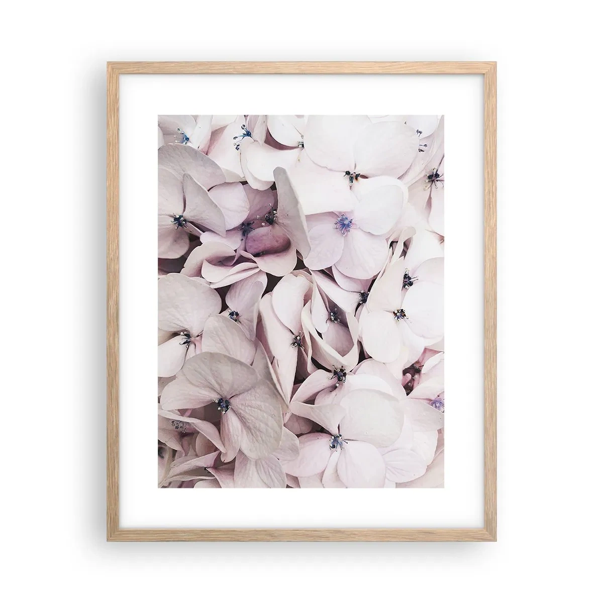 Plakát v rámu světlý dub - V záplavě květin - 40x50 cm