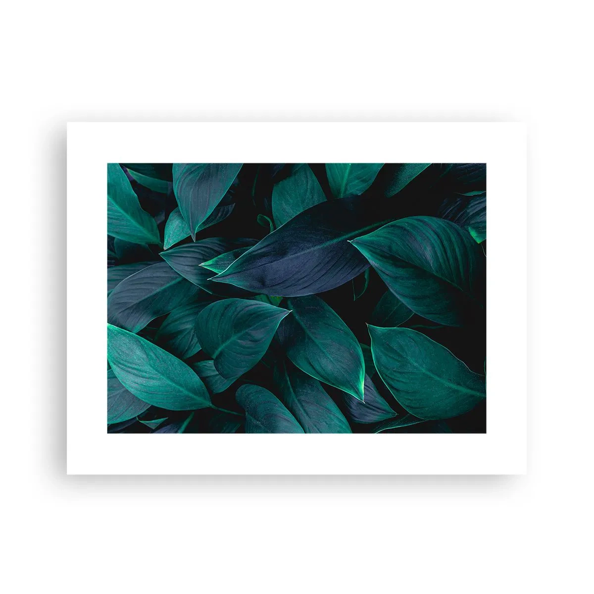 Plakát - Zeleň sama o sobě - 40x30 cm