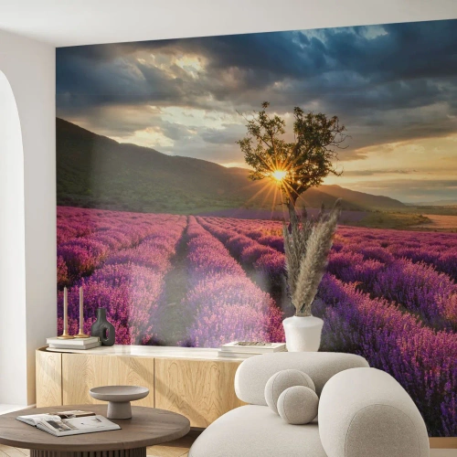 Fototapeta Premium Sand - Aroma v barvě lila - Krajina, Levandule, Provence - 100x70 cm