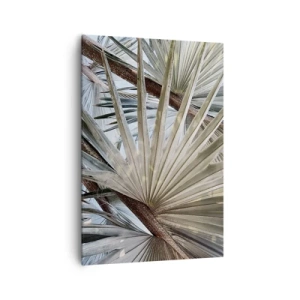 Obraz na plátně - Vějíře v tropech - 70x100 cm