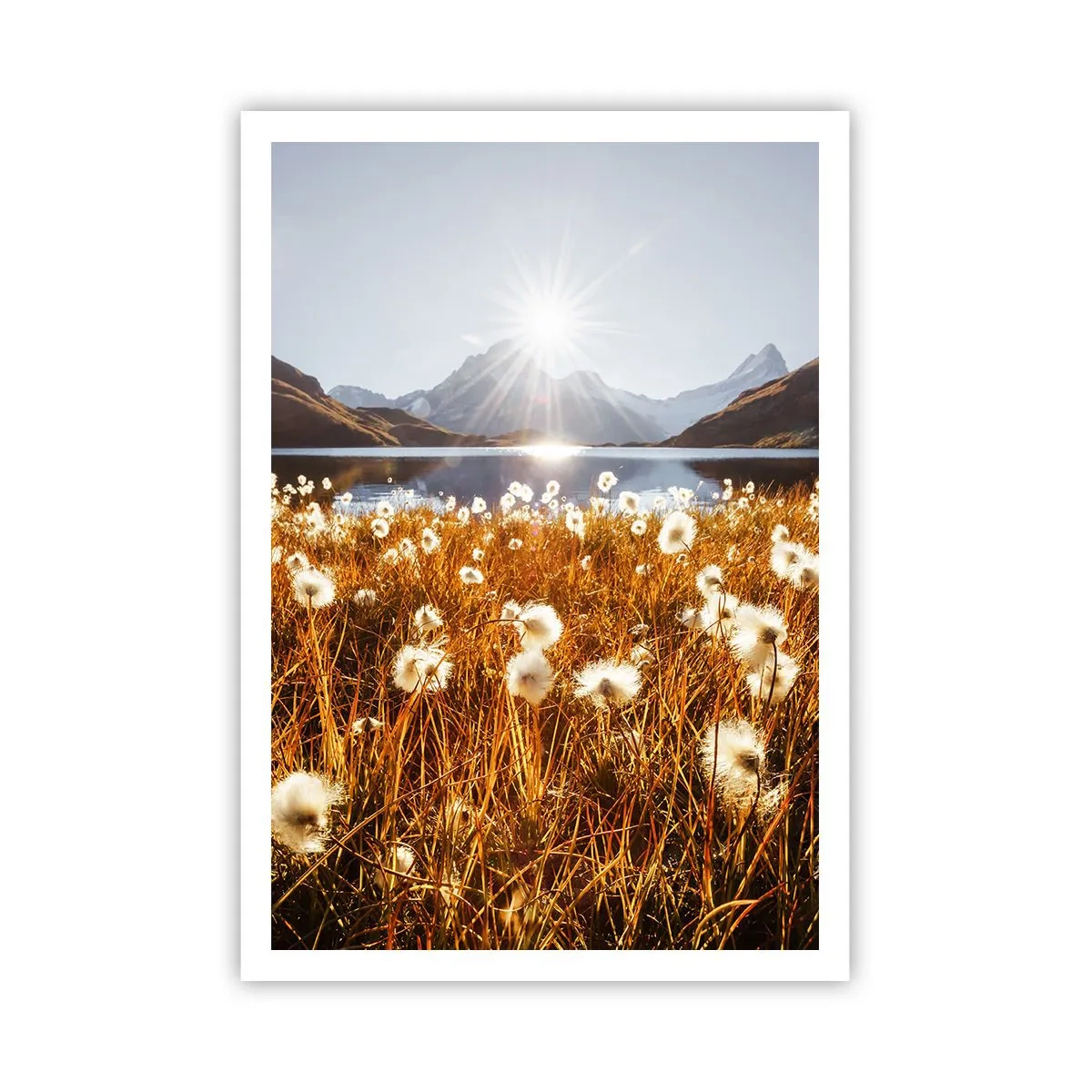 Plakát - Tvrdost skal, měkkost trav - 70x100 cm