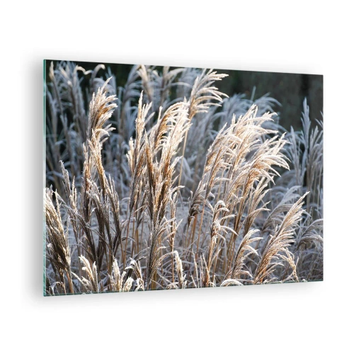 Obraz na skle - Zmrzlé trávy v zimním slunci - 70x50cm - Mrazem pokryté - Moderní nástěnná dekorace do obývacího pokoje a ložnice ARTTOR