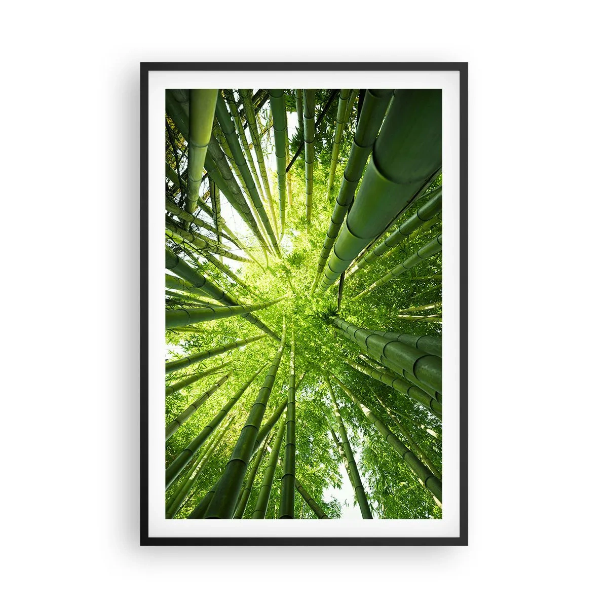 Plakát v černém rámu - V bambusovém háji - 61x91 cm