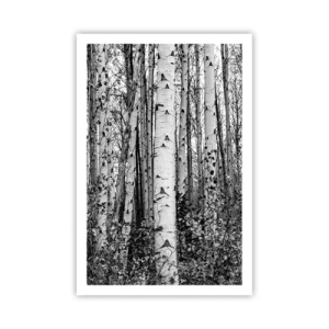 Plakát - Březová kolonáda - 61x91 cm