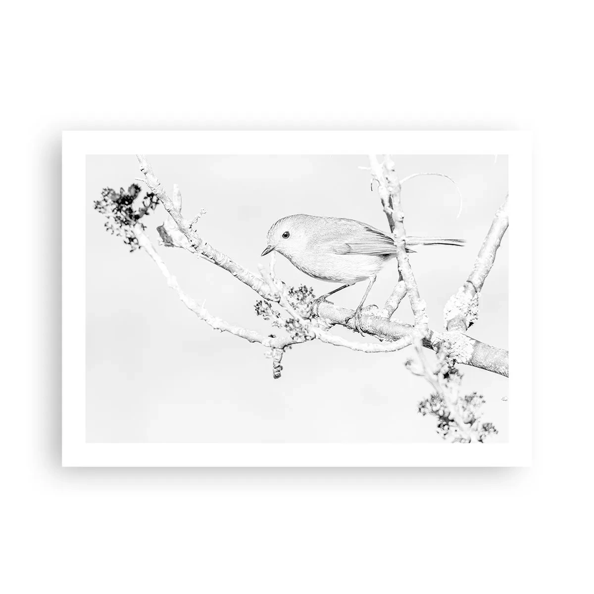 Plakát - Zimní ráno - 70x50 cm