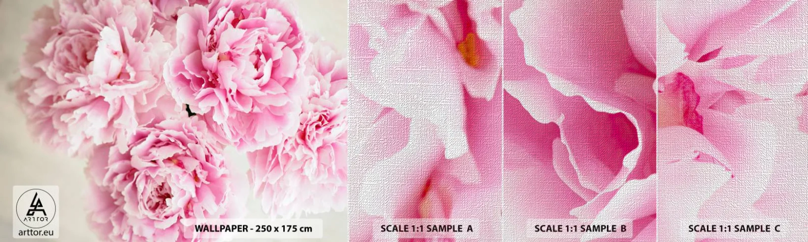 Vzor Fototapety Premium Canvas - V růžovém přepychu - Pivoňky, Kytice květin, Květiny - 100x30 cm