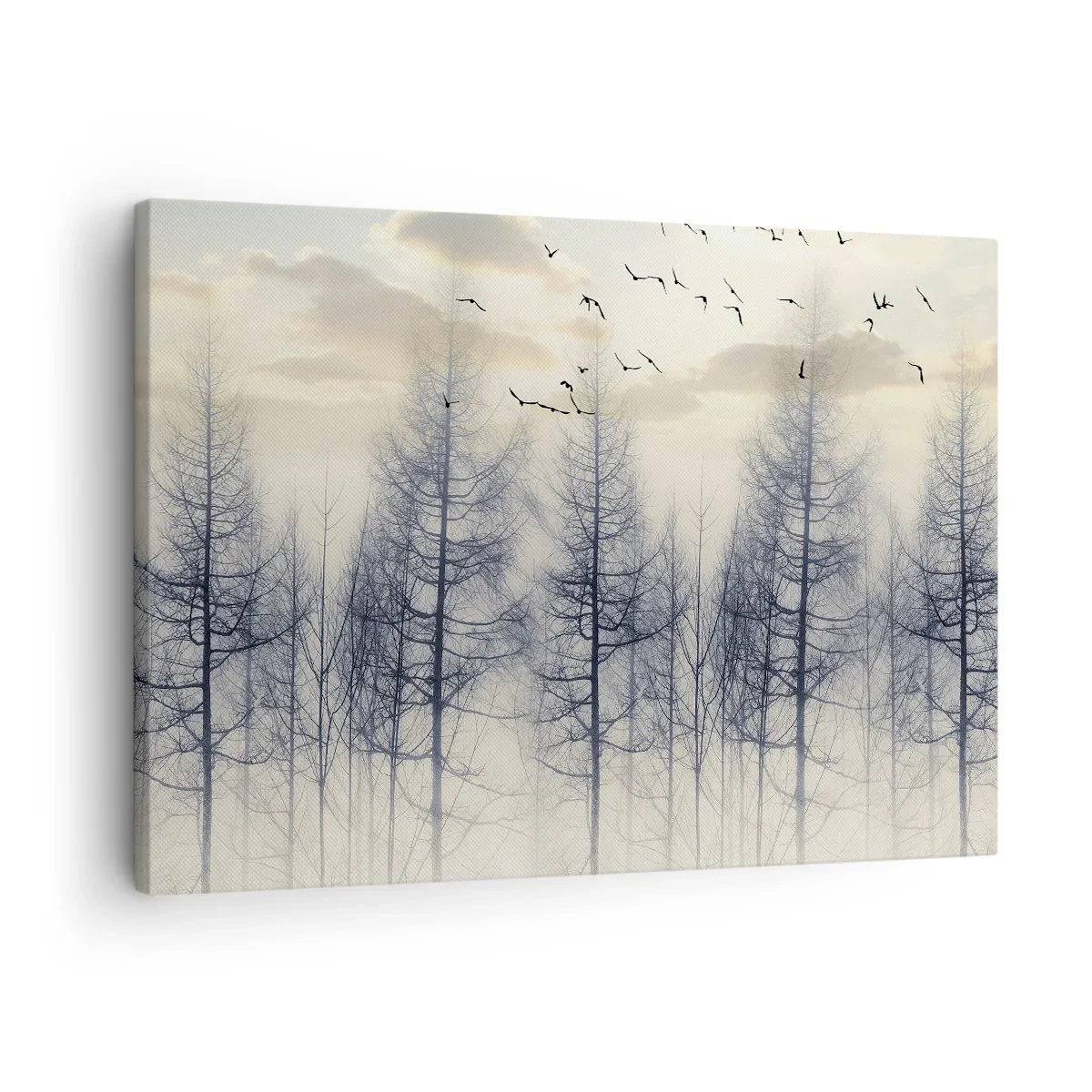 Obraz na plátně - Mlžný les s ptáky proti západu slunce - 70x50cm - Duchové lesa - Moderní nástěnná dekorace do obývacího pokoje a ložnice ARTTOR