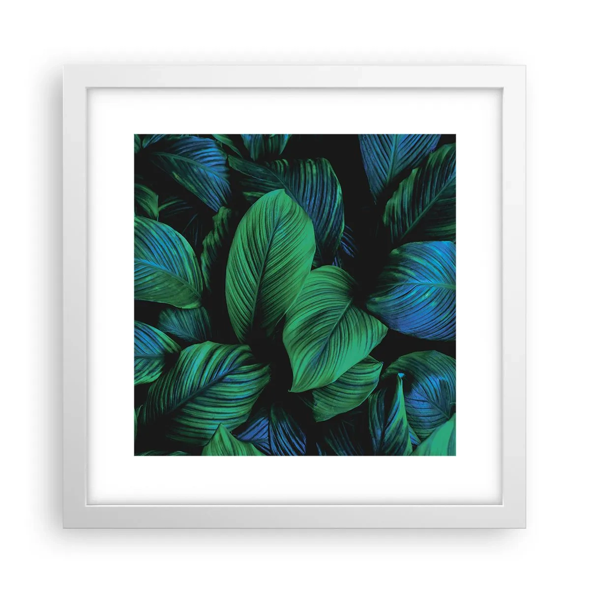 Plakát v bílém rámu - V zeleném davu - 30x30 cm