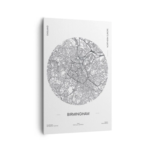 Obraz na plátně - Anatomie Birminghamu - 80x120 cm
