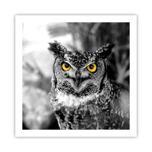 Plakát - Nic se neschová - 60x60 cm