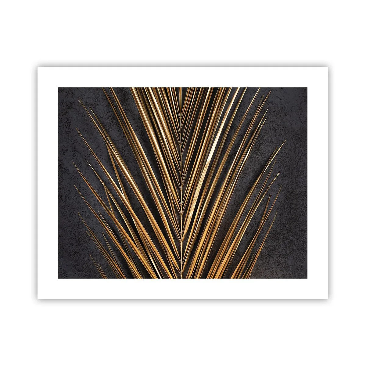 Plakát - Zlato tropů - 50x40 cm
