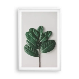 Plakát v bílém rámu - Kresba samotné přírody - 61x91 cm