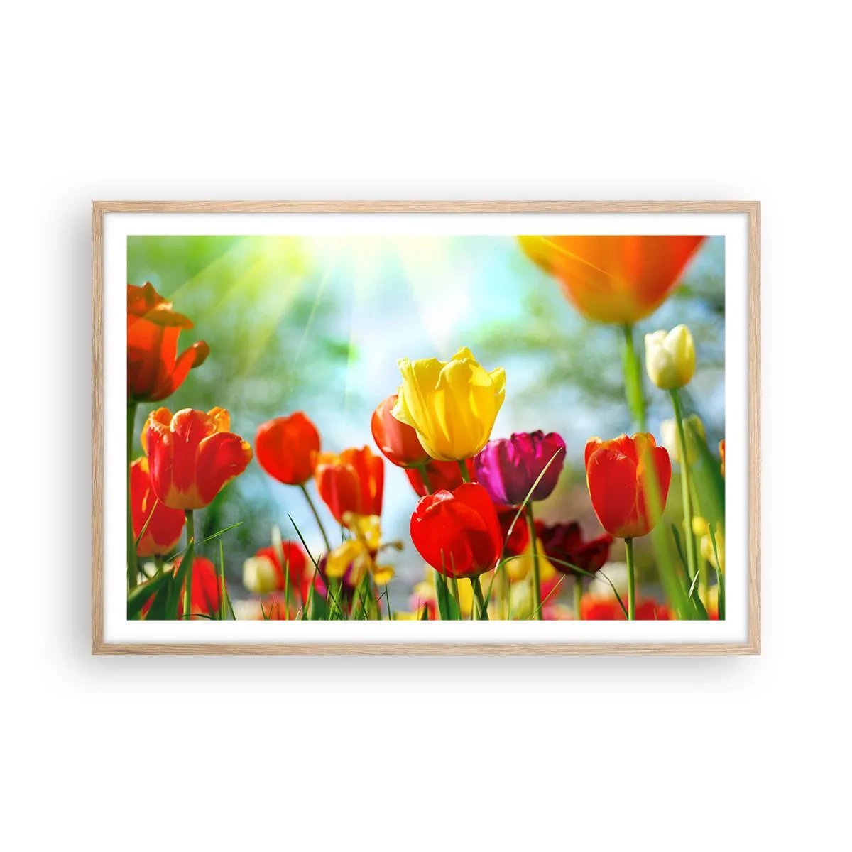 Plakát v rámu světlý dub - Všechny barvy slunce - 91x61 cm