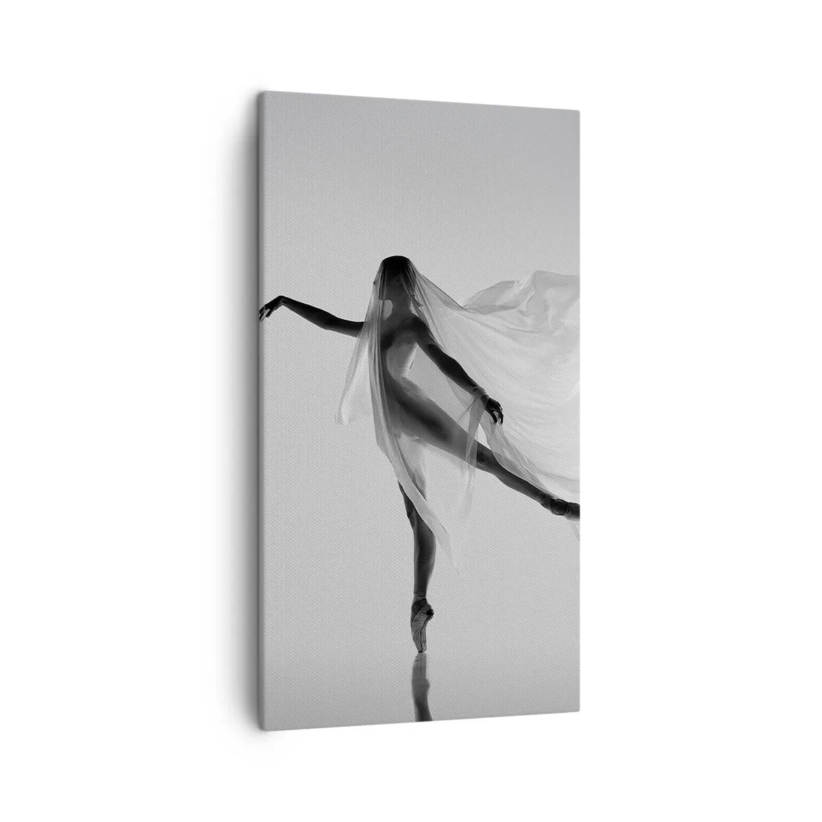 Obraz na plátně - Lehkost a půvab - 45x80 cm