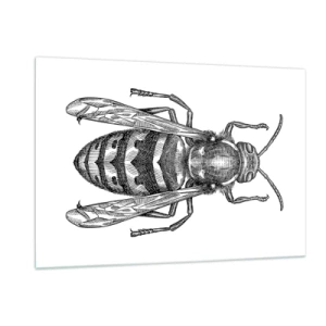 Obraz na skle - Z hmyzí planety - 120x80 cm