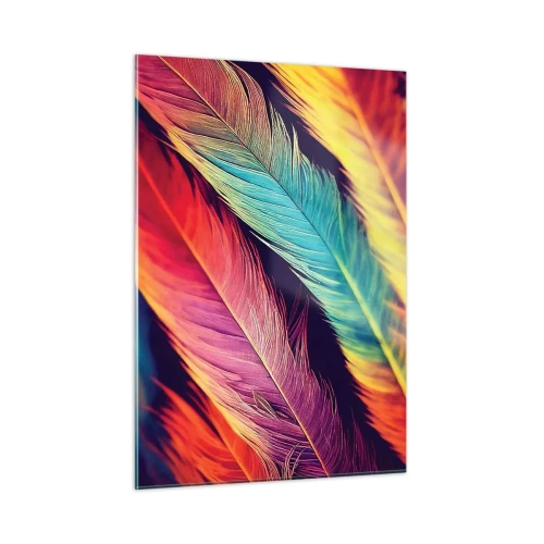 Obraz na skle - Opeřená duha - 50x70 cm