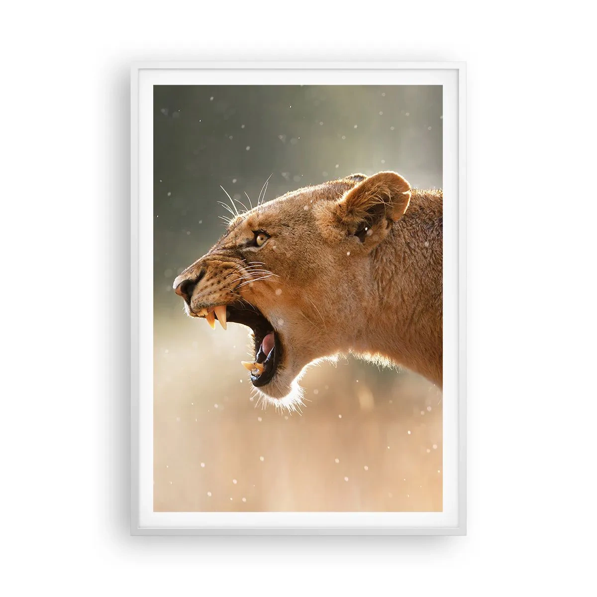 Plakát v bílém rámu - Snaž se neposlouchat - 70x100 cm