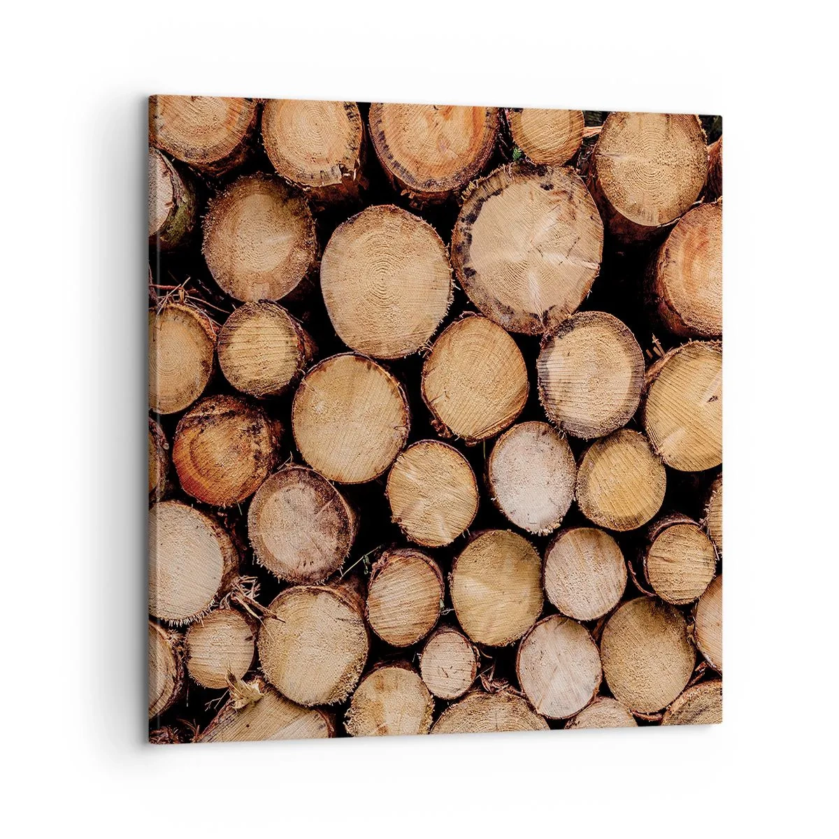 Obraz na plátně - Nový začátek - 60x60 cm