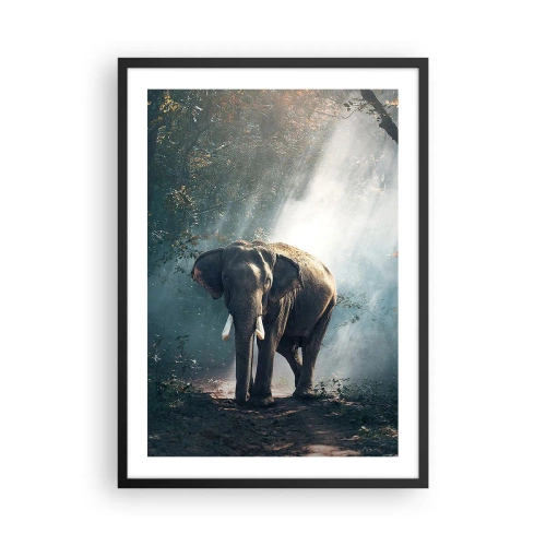 Plakát v černém rámu - Slon se vyhřívá na slunci v hustém lese - 50x70cm - Klidná procházka - Moderní nástěnná dekorace do obývacího pokoje a ložnice ARTTOR