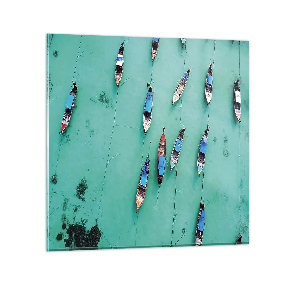 Obraz na skle - V radostném očekávání - 70x70 cm