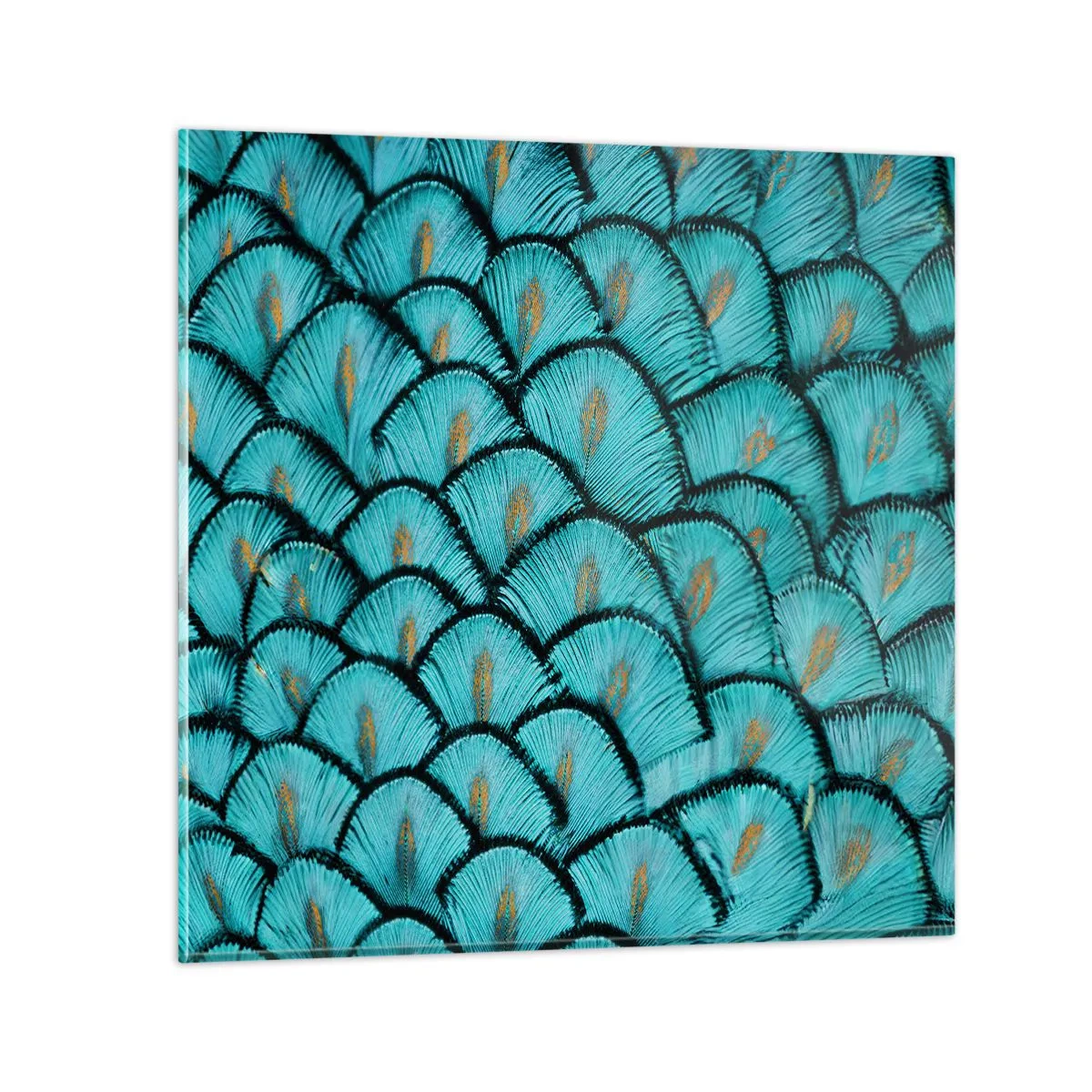 Obraz na skle - Velká slavnost peří - 40x40 cm