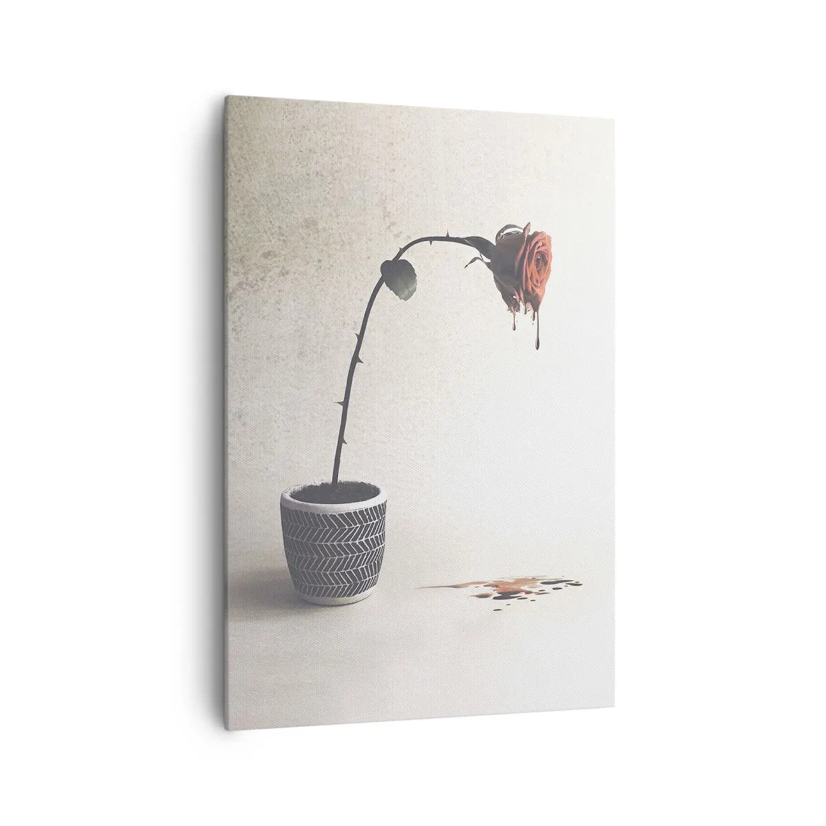 Obraz na plátně - Rosa dolorosa - 70x100 cm