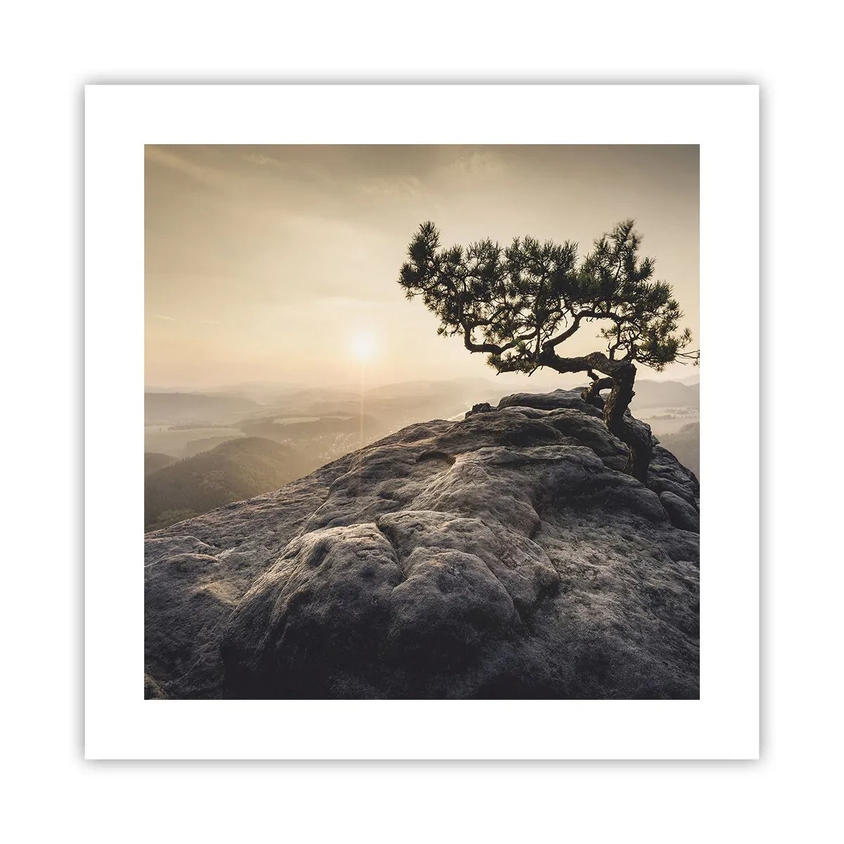 Plakát - Život vždy vítězí - 40x40 cm