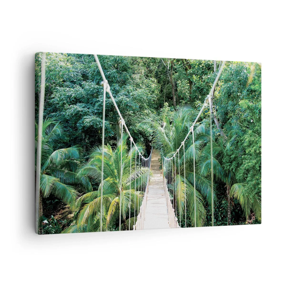 Obraz na plátně - Welcome to the jungle! - 70x50 cm
