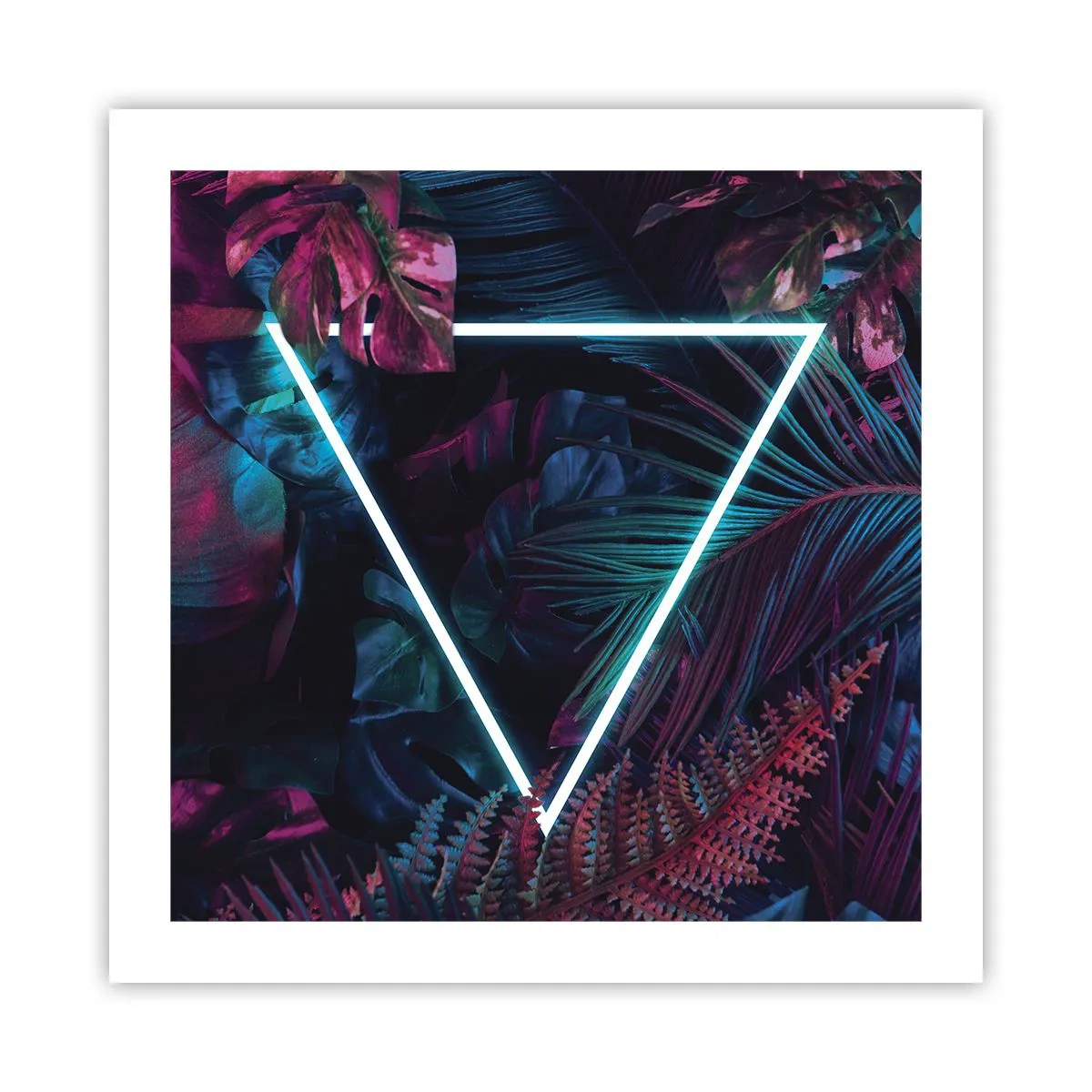 Plakát - Zahrada v disco stylu - 50x50 cm