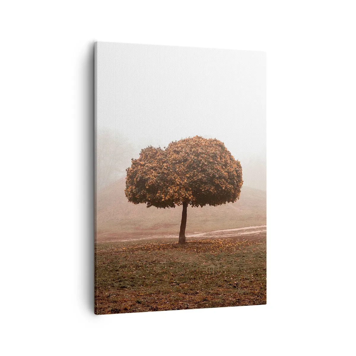 Obraz na plátně - Po rušném létě - 50x70 cm