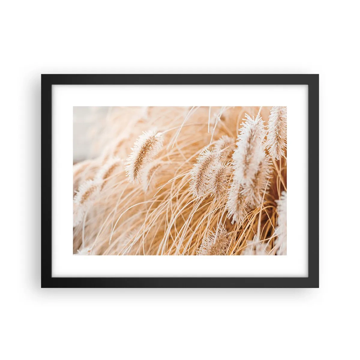 Plakát v černém rámu - Zlaté šustění travin - 40x30 cm