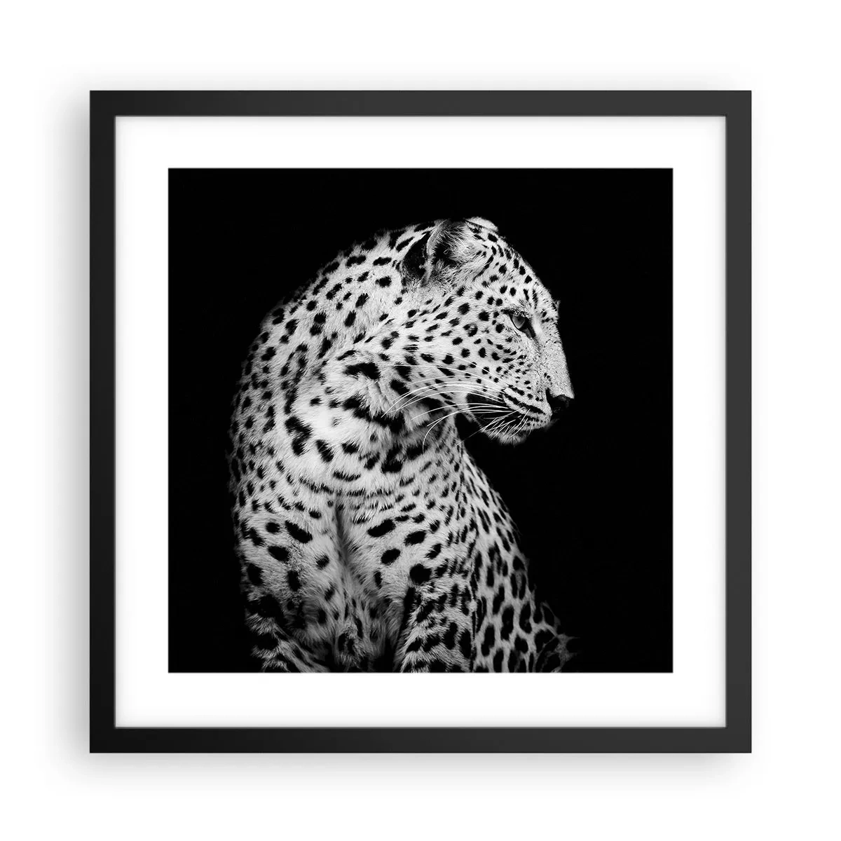 Plakát v černém rámu - Pravý profil perfektní! - 40x40 cm