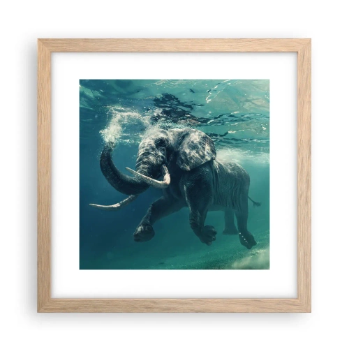 Plakát v rámu světlý dub - Všichni rádi plavou - 30x30 cm