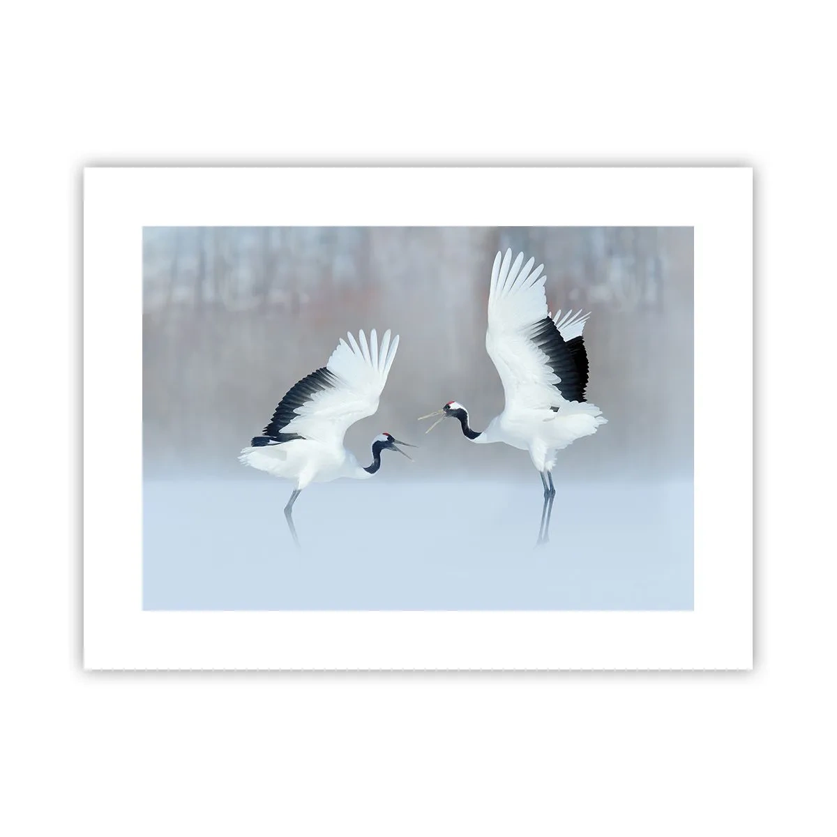 Plakát - Tanec v mlze - 40x30 cm