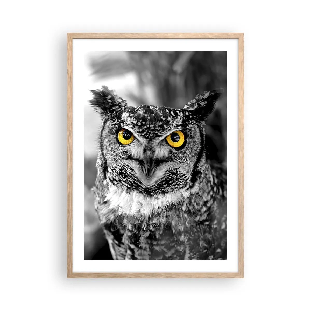 Plakát v rámu světlý dub - Nic se neschová - 50x70 cm