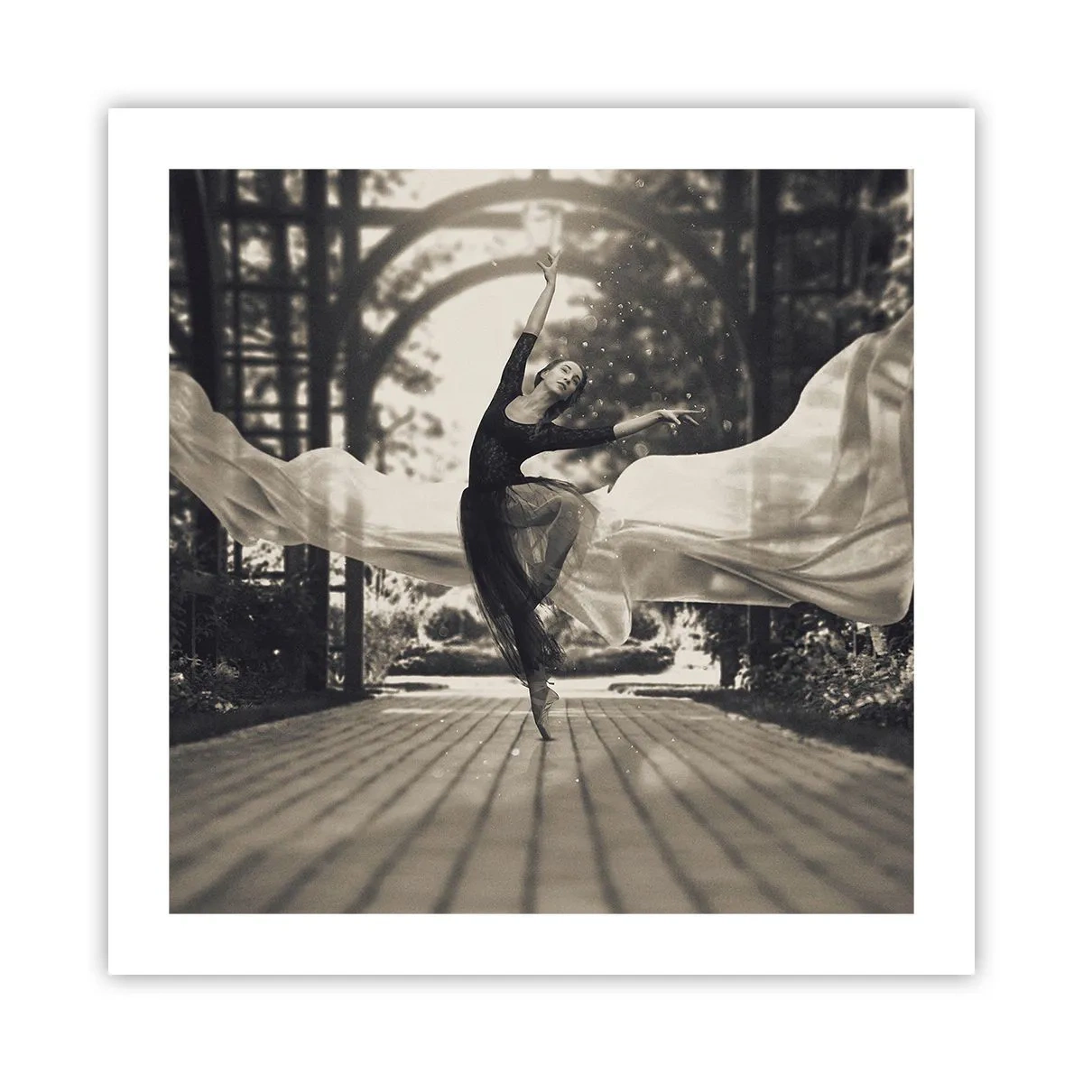 Plakát - Tanec ducha zahrady - 50x50 cm